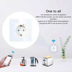 Priza smart wifi 16A compatibila ALEXA GOOGLE HOME 3500W