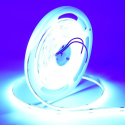Banda led cob 24v albastra 8mm 11W/m IP20 5m