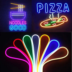Kit Neon flex LED 12V rosu 5m IP65