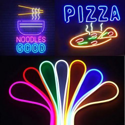 Kit Neon flex LED 12V galben 5m IP65