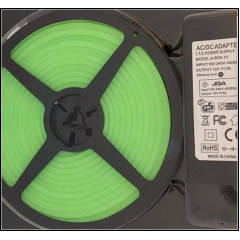 Kit Neon Flex LED 12V verde 5m IP65