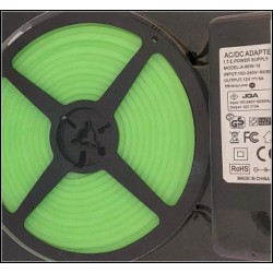 Kit Neon Flex LED 12V verde 5m IP65