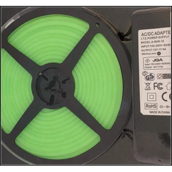 Kit Neon Flex LED 12V verde 5m IP65