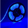 Banda led 120 led m 2835 12V 9,6W exterior albastru