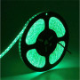 Banda led 120 led m 2835 12V 9,6W exterior verde