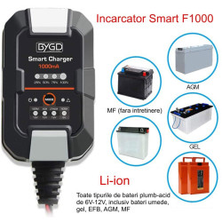 Incarcator inteligent acumulatori F1000 6V 12V 10A