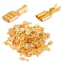 Papuci Electrici Alama Mama 6,3mm Set 100 Buc