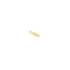 Papuci Electrici Alama Tata 6,3mm Set 100 Buc