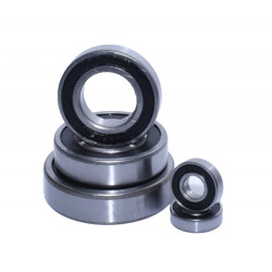 Rulment 6005 2rs cu bile si etansare din plastic pentru aplicatii