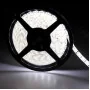 Banda led 5050 12V IP65 pentru exterior, alb cald, rece sau neutru